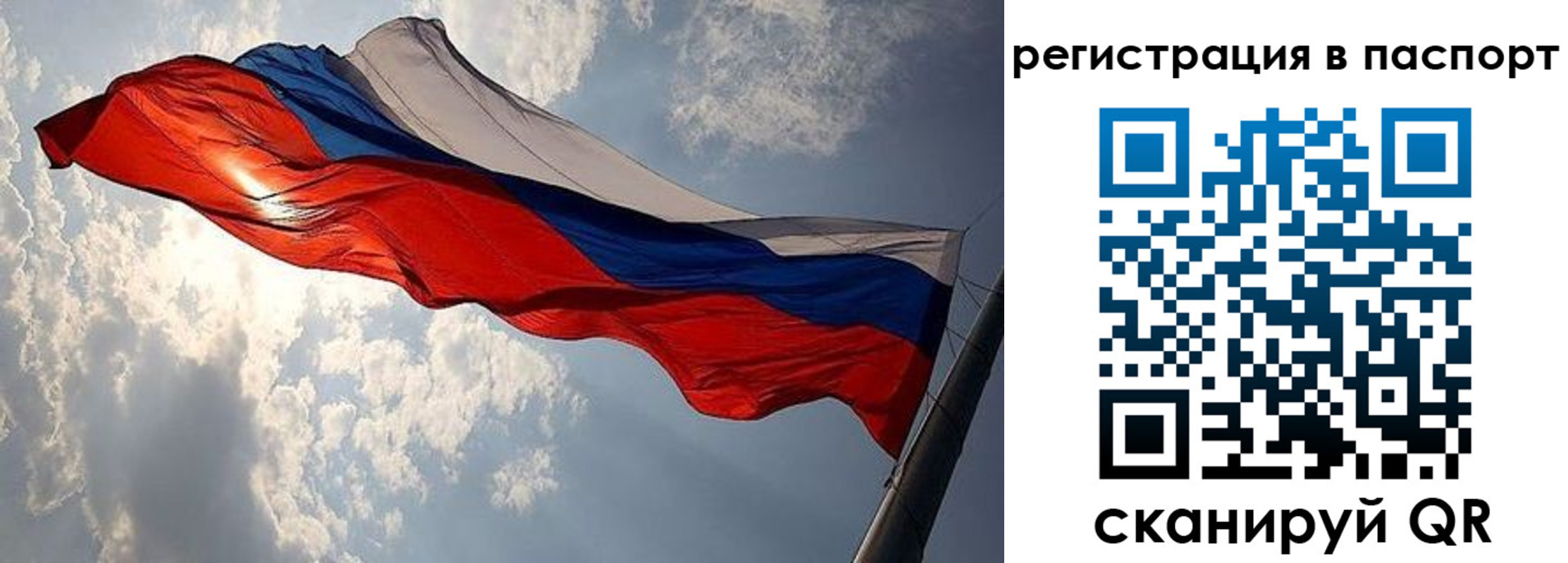 временная регистрация для всех в Ельне